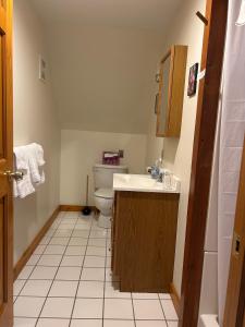 une salle de bains avec toilettes et lavabo dans l'établissement Private, Quiet Vermont Studio With Mountain Views, à Guilford