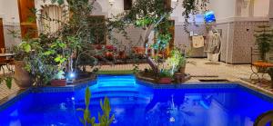 a swimming pool with plants in a room at Riad Raffaa in Marrakesh