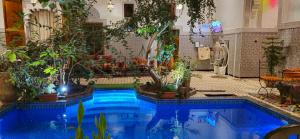Una piscina en una habitación con plantas. en Riad Raffaa, en Marrakech