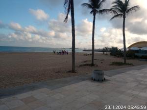 een zandstrand met palmbomen en de oceaan bij Villa costeira Flat in Fortaleza