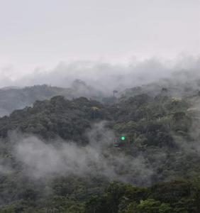 a misty forest with a green light in the middle at EL ALTO DE CISNEROS " para caminantes" in Cisneros