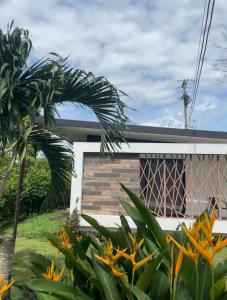 Zahrada ubytování Yopo Resort