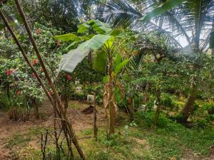 Um jardim no exterior de Samant Beach Resort