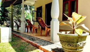 a porch with chairs and a plant in a pot at Residence Kuruniyavilla in Unawatuna