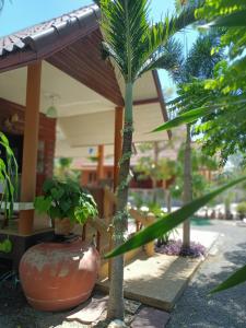 บาคัสโฮมลอร์ด外面的花园