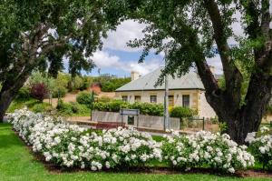 einen Garten mit weißen Blumen vor einem Haus in der Unterkunft BRIDGE COTTAGES Sargeants & Armoury Cottages 1823 - HISTORY & CHARM in Richmond