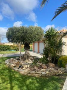 een boom in het midden van een tuin bij L'Olivier Tropical in Muret
