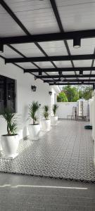 Φωτογραφία από το άλμπουμ του Akasea Sojourn σε Gua Sai