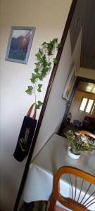 Fotografie z fotogalerie ubytování La croix des Landes gîte ou chambre d'hôte avec piscine à Chouvigny v destinaci Chouvigny
