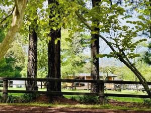a park bench in front of some trees at Charming Studio in Somersby in Somersby