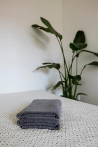 a towel sitting on a table next to a plant at Apartment for friends & families in Tallinn