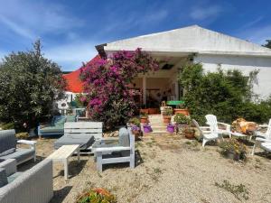 Zahrada ubytování In Our Garden Sardinia - Orange Trees Glamping Tent