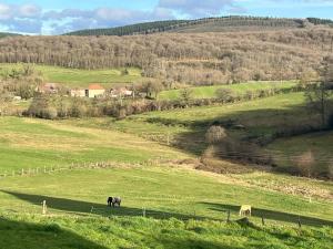 two horses grazing in a grassy field on a hill at Down under in France in Lormes