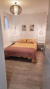 a bedroom with a large bed and two night stands at Spacieux T3 Piscine à Anglet in BIQ