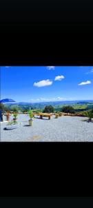 a group of potted plants sitting on the ground at Cabana das montanhas in Bueno Brandão +13 photos