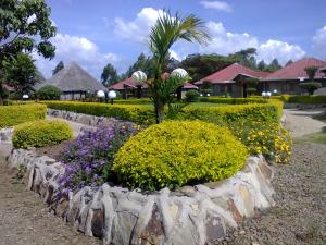 un jardin avec des fleurs, un palmier et des bâtiments dans l'établissement Tumaini Cottages and Conference Centre, à Nakuru