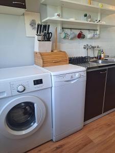 Kuchyňa alebo kuchynka v ubytovaní Comfortable Apartment close to Spodek