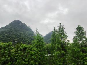 Priroda u blizini brvnare