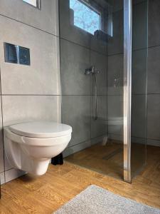 a bathroom with a toilet and a shower at Domki letniskowe in Ostrów Warcki +4 photos