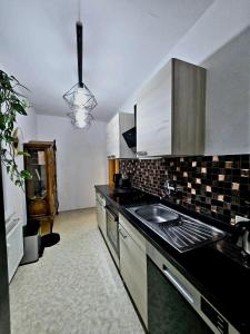 a kitchen with a sink and a counter top at Cozy Pet-Friendly Apartment in Meißen