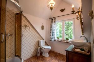 a bathroom with a toilet and a sink and a shower at Dom pod Skrzydłami in Gawliki Wielkie +166 photos