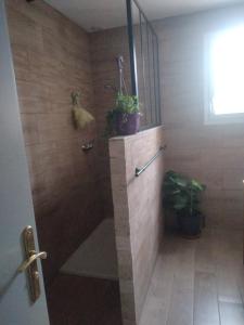 a bathroom with a shower with plants on the wall at Les hunaudieres 4 chambres - 4 lits doubles in Teloché