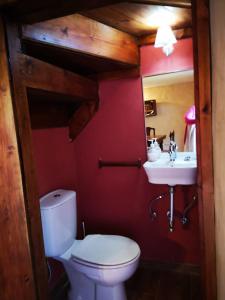 a bathroom with a toilet and a sink at El Mirador de Abionzo in Abionzo