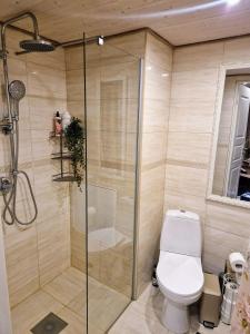 a bathroom with a shower with a toilet in it at Cosy apartment in Padise in Padise +10 photos
