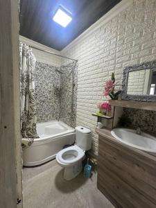 a bathroom with a toilet and a tub and a sink at Family hostel Toshkent in Toshkent-Passajir Bekati +28 photos