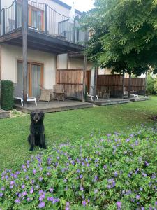 Ogród w obiekcie Garten-Hotel Ochensberger