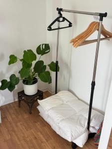 Fotografie z fotogalerie ubytování Schöne Oberwohnung in Oldenburg Osternburg v destinaci Oldenburg + 29 fotografií