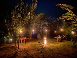 Zahrada ubytování coconut camp udawalawe