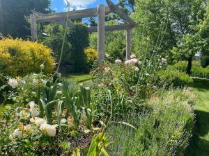 a garden with flowers and a wooden pergola at OLDGREENWELLS B&B in Walcha +8 photos