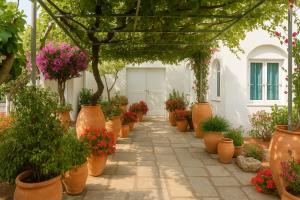 a row of potted plants on a walkway at KALIVAKI in Georgioupolis