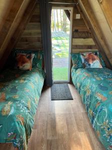 Foto de la galeria de Fox Den With Hammocks a Trawsfynydd