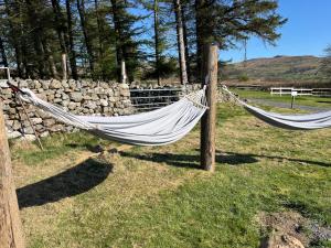 Foto de la galeria de Fox Den With Hammocks a Trawsfynydd