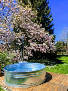 a bird bath sitting on a table in front of a tree at Ruhestifter-Salem mit Aromasauna und Hot Tub bis zu 10 Personen in Salem