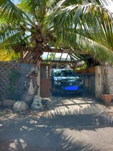 拉萨尔勒班Saline les bains petite maison bien aménagée calme & plage à pied的一辆停在车道棕榈树下的汽车