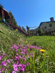 Aed väljaspool majutusasutust Alpenpension Gasthof