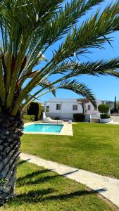 a palm tree next to a swimming pool at Villa Paradisos Archangelos in Archangelos