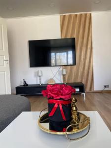 TV a/nebo společenská místnost v ubytování Puiestee apartment