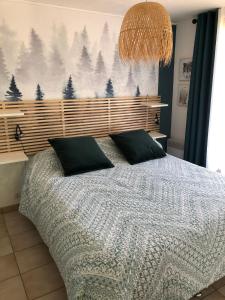 Giường trong phòng chung tại Beautiful apartment in independent chalet, facing mythical Col du Galibier +41 ảnh