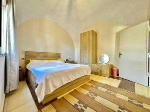 开罗Charming Farm Stay with Barbecue Horses Monkeys and fun的卧室配有一张大床和木地板