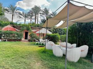 Charming Farm Stay with Barbecue Horses Monkeys and fun外面的花园