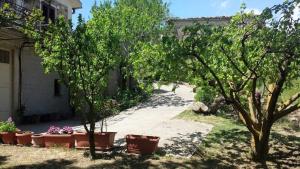ガンジにあるCasa Vacanze Villa Marianoの隣の鉢植えの木々のある庭園