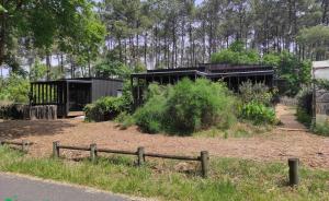 Φωτογραφία από το άλμπουμ του Studio Nature & Calme, Lac et Forêt à Pied σε Lacanau