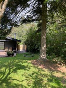 カロンボーにあるElegant Summer House Close To The Beach And Forestの庭の木掛け
