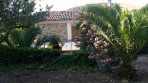 una casa con una palmera y algunas flores en Casa Vacanze Villa Mariano, en Gangi