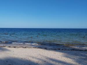 a group of people in the water at the beach at Sheila's Apartment in Ngong