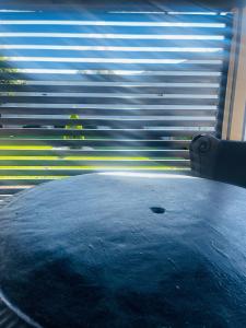 NorthamTrendyBliss Guest House的相册照片